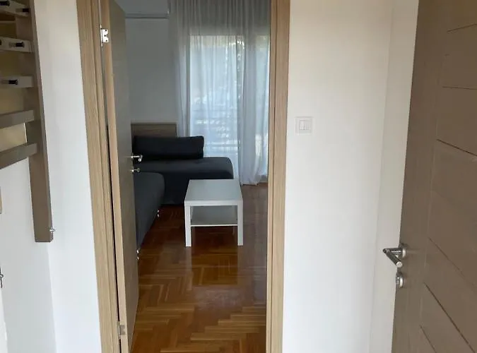 12 Jelena Anzujska ズラティボール